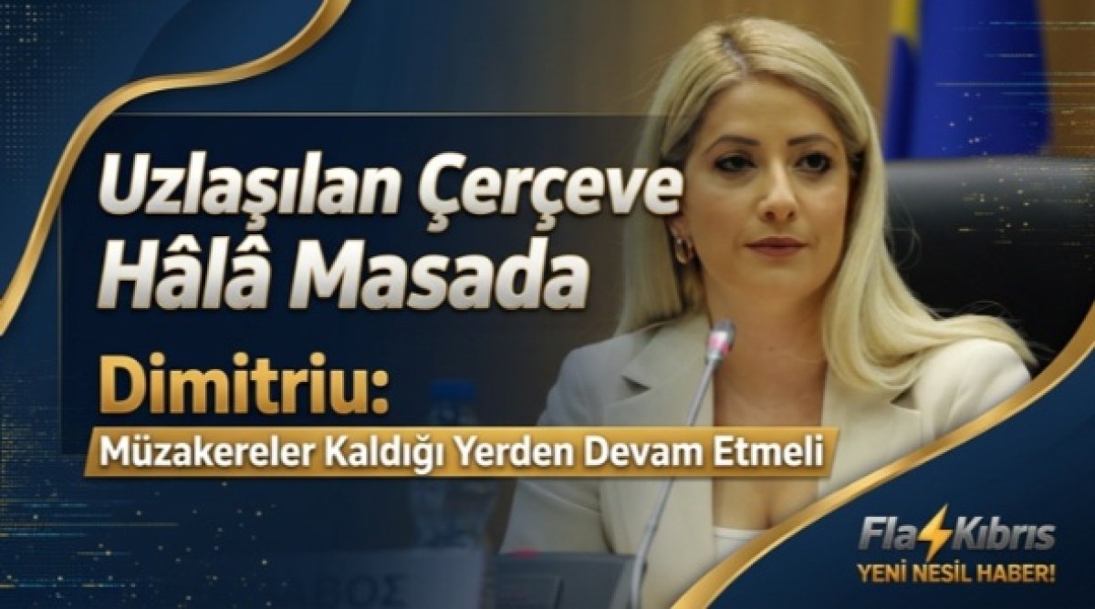 Dimitriu: Kıbrıs sorununda Rum tarafı da, Türk tarafı da ve Türkiye de aynı noktada değil