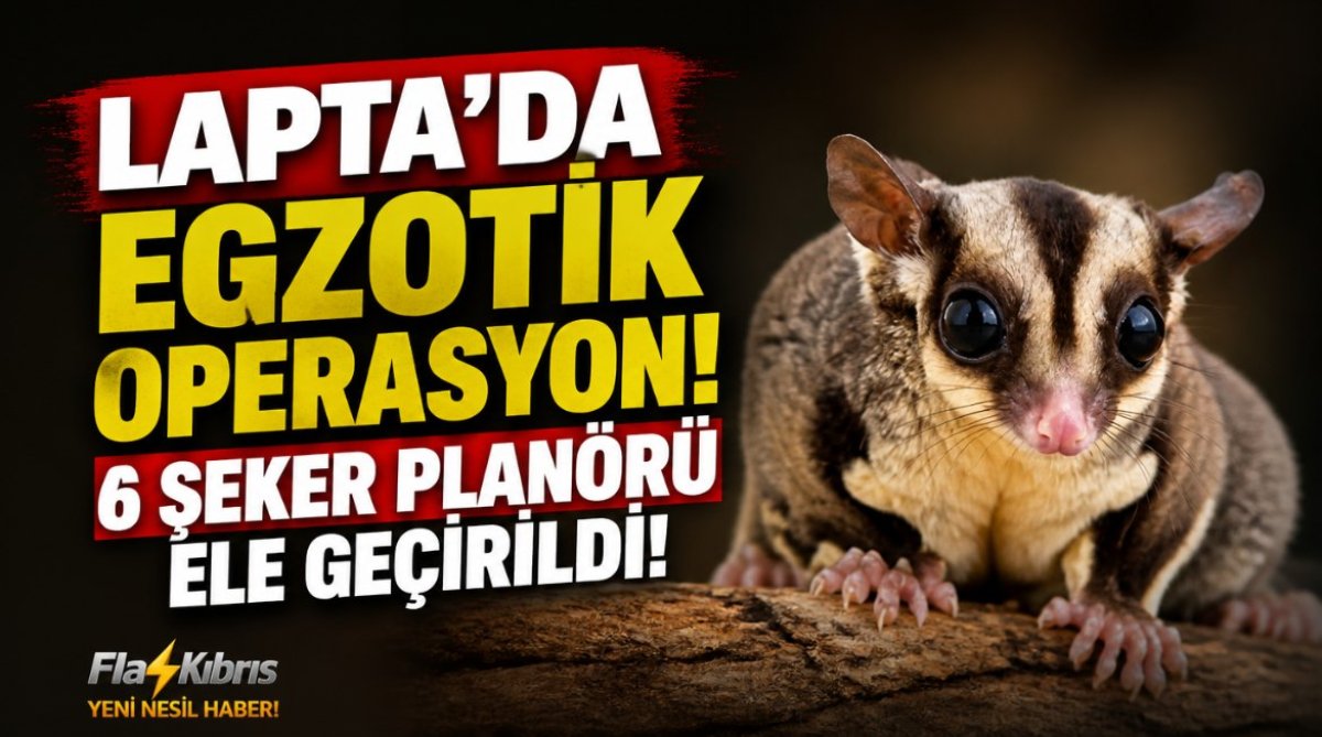 Lapta’da Egzotik Hayvan Operasyonu
