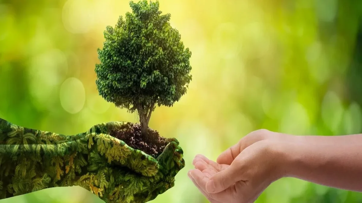 Lefke Çevre ve Ekoloji Derneği: Çevrenin korunması, tüm bireylerin ortak sorumluluğudur