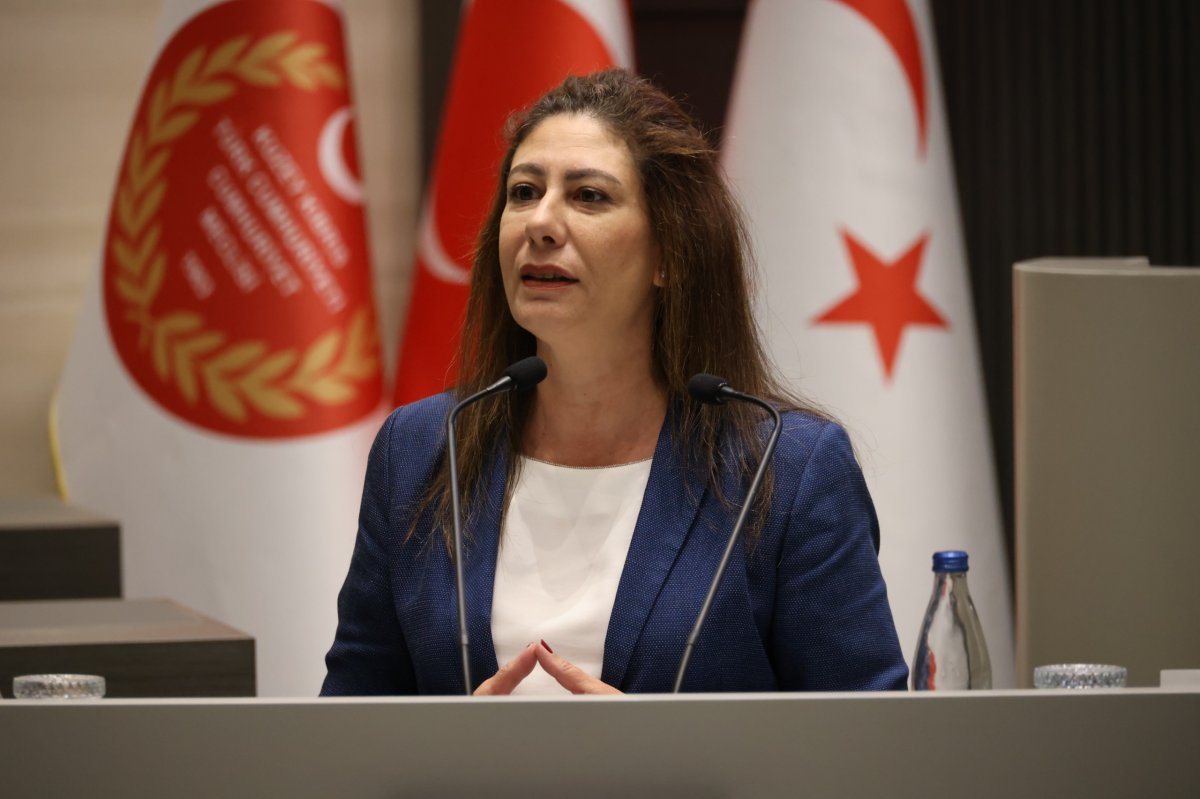 İncirli: Demokratik hukuk devleti ilkesi zedelendi