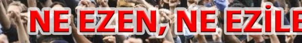 banner14